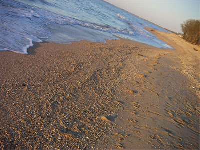 Азовское море, пляж
